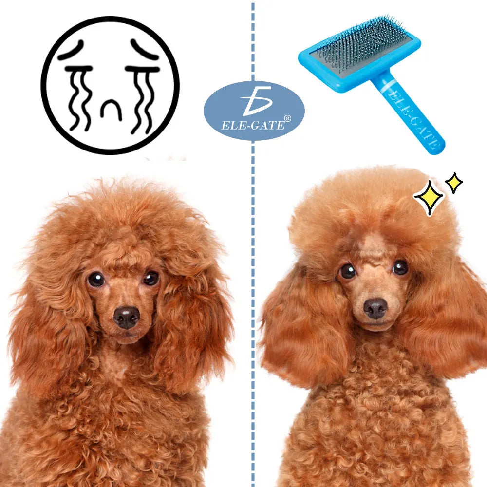 Pet Grooming Brush for Dogs & Cats
